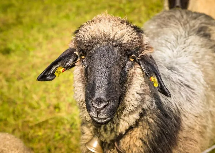 Unterwoehrlehen