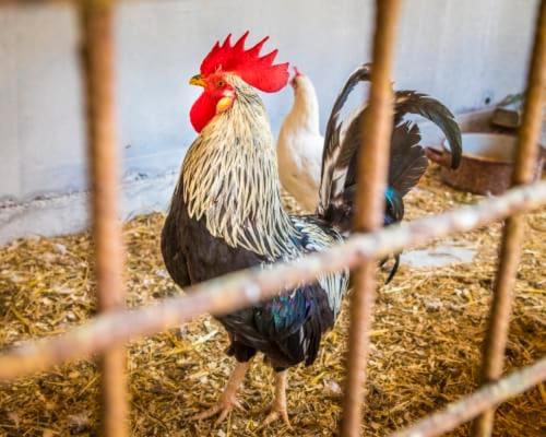 Unterwoehrlehen *